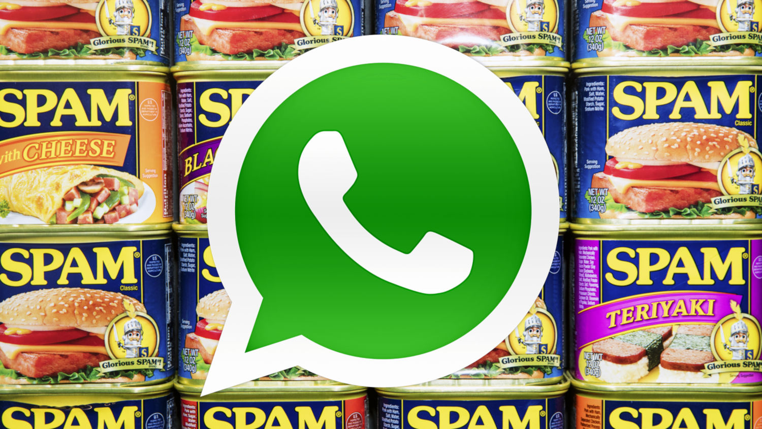 Whatsapp Spam